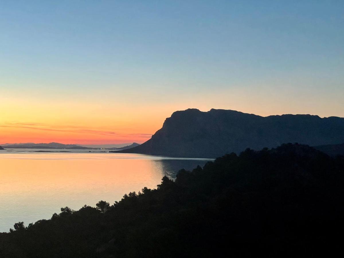 San Teodoro Punta Est Fantastico Trilocale Vista Mare Daire Capo Coda Cavallo Dış mekan fotoğraf
