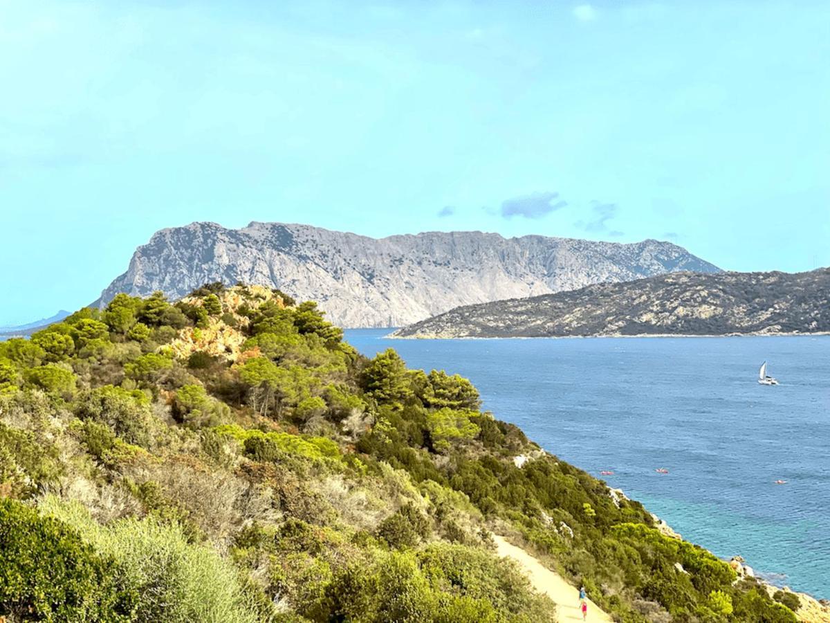 San Teodoro Punta Est Fantastico Trilocale Vista Mare Daire Capo Coda Cavallo Dış mekan fotoğraf