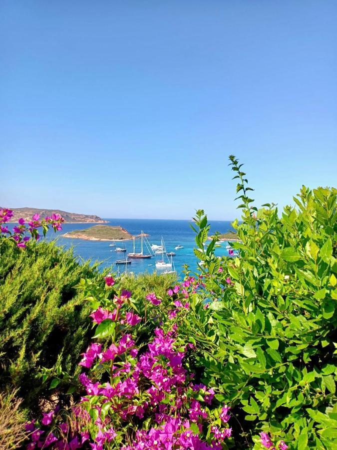 San Teodoro Punta Est Fantastico Trilocale Vista Mare Daire Capo Coda Cavallo Dış mekan fotoğraf