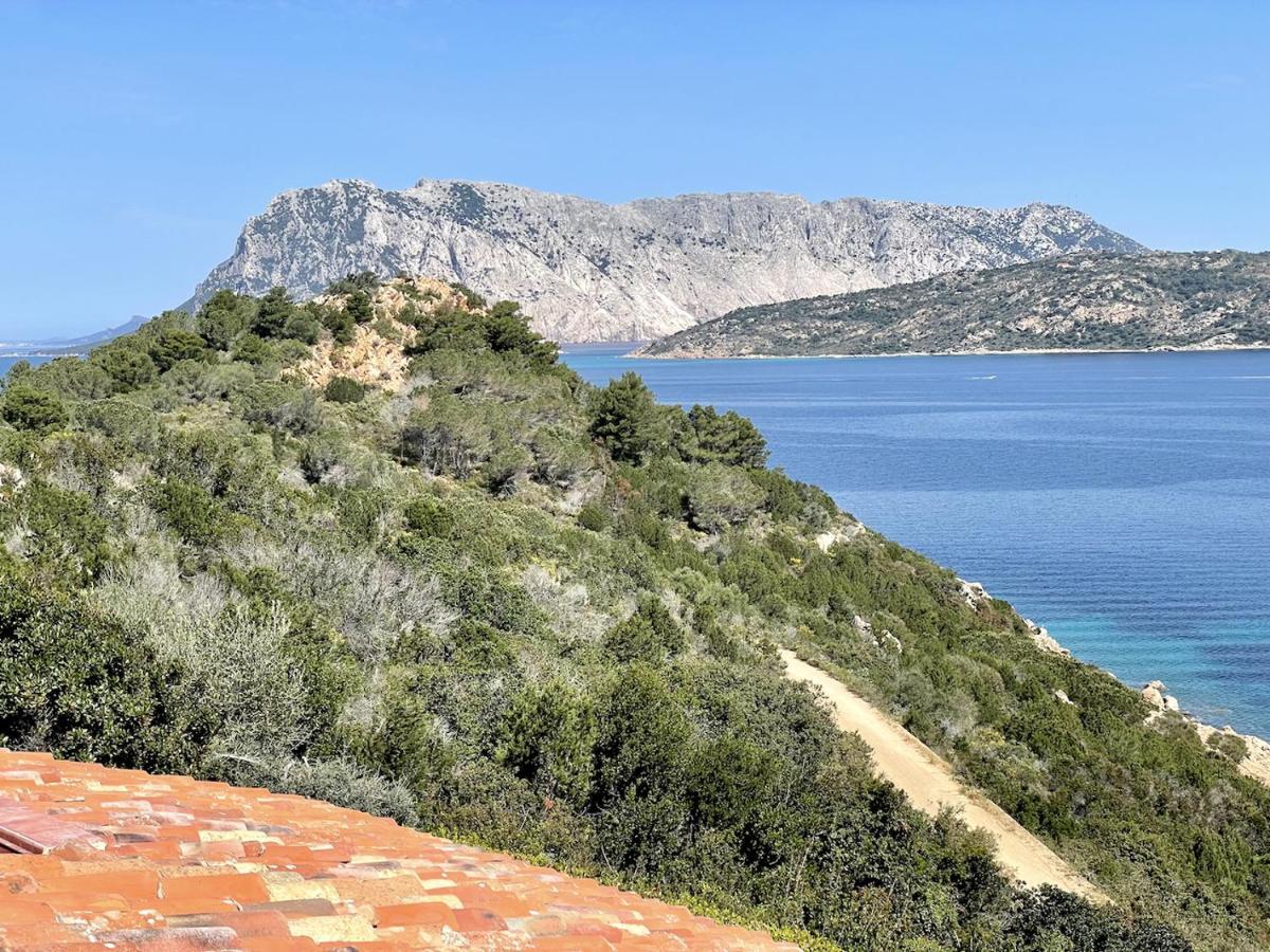 San Teodoro Punta Est Fantastico Trilocale Vista Mare Daire Capo Coda Cavallo Dış mekan fotoğraf